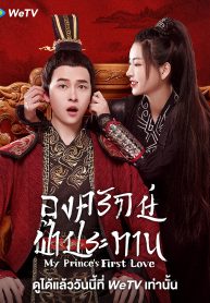 ซีรี่ย์จีน My Prince’s First Love (2022) องครักษ์ฟ้าประทาน (ซับไทย)